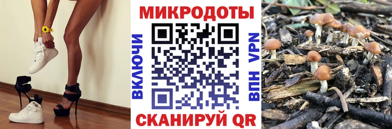 Псилоцибиновые грибы Cubensis  Бавлы 